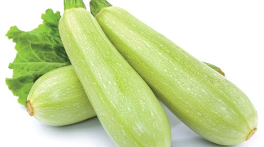 Zucchini