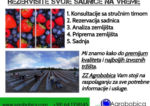 REZERVIŠITE SVOJE SADNICE NA VREME