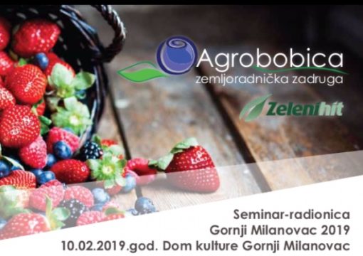 SEMINAR-RADIONICA 10.02.2019. Gornji Milanovac